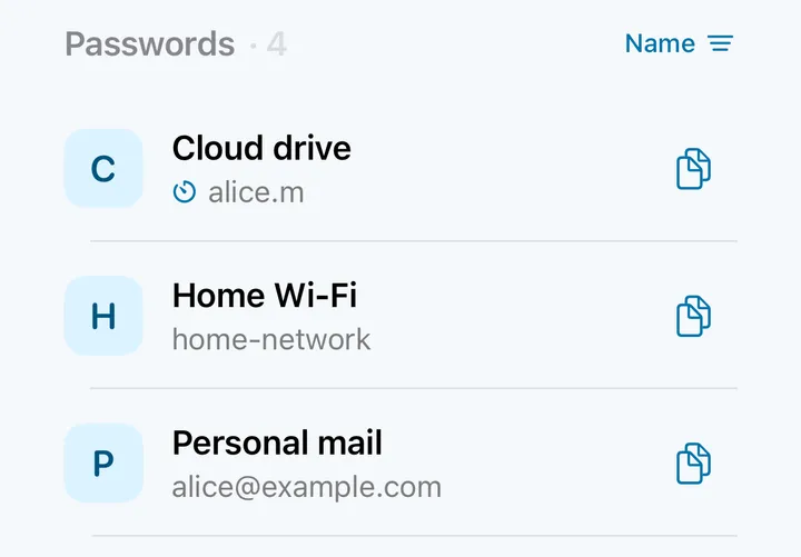 A list of logins in the ChromVoid vault on iPhone: Wi-Fi, email and cloud drive